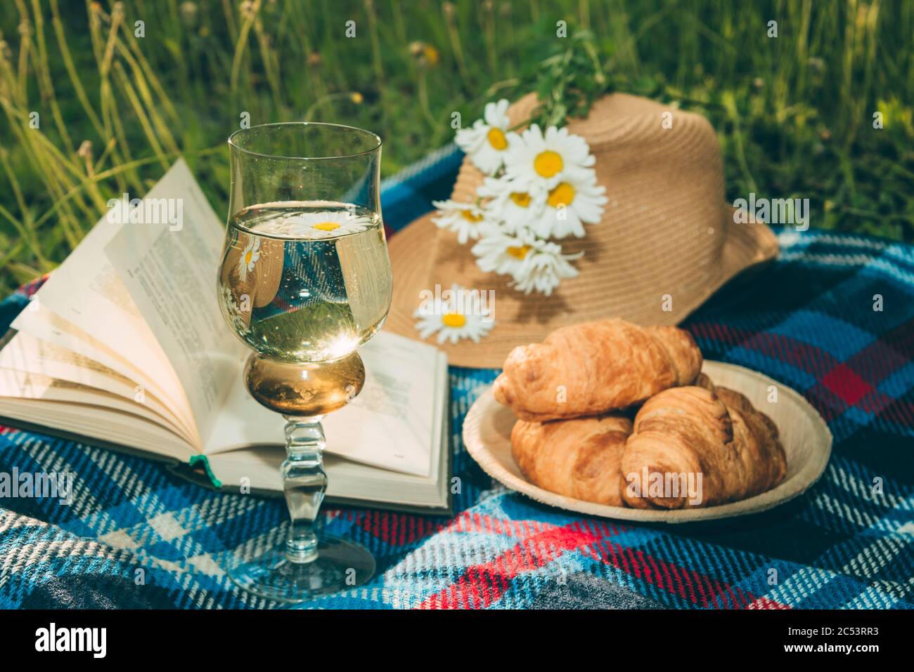 Pique-nique d'été avec livre et croissants sur un écossais à carreaux sur l'herbe verte. Banque D'Images