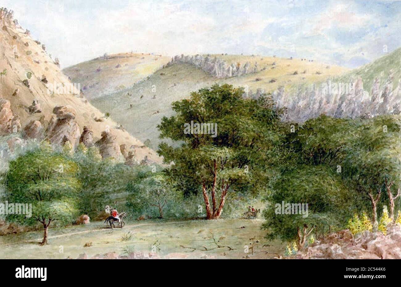 Dans Wild Rose Pass Arthur Lee. Banque D'Images