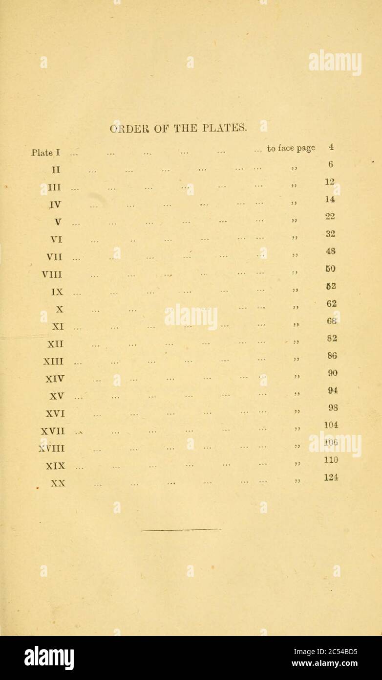 Serpents Indiens Banque D'Images