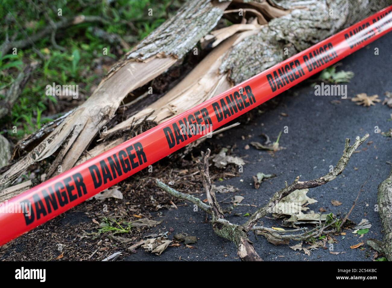 attention sélective sur le mot danger sur une bande rouge à travers la route avec un arbre vers le bas après une grosse tempête Banque D'Images