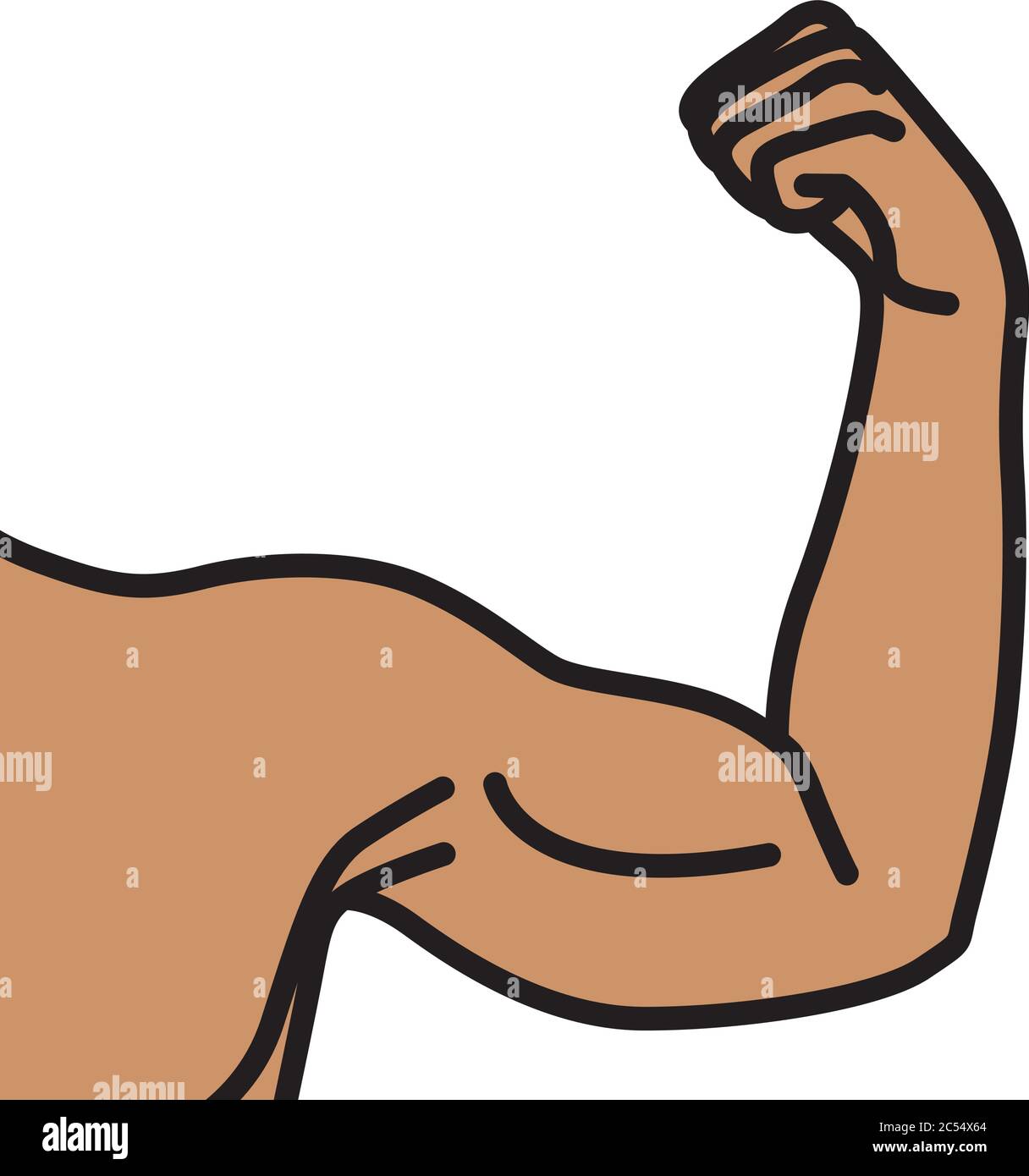 Bras mâles avec muscles biceps fléchis Illustration de Vecteur