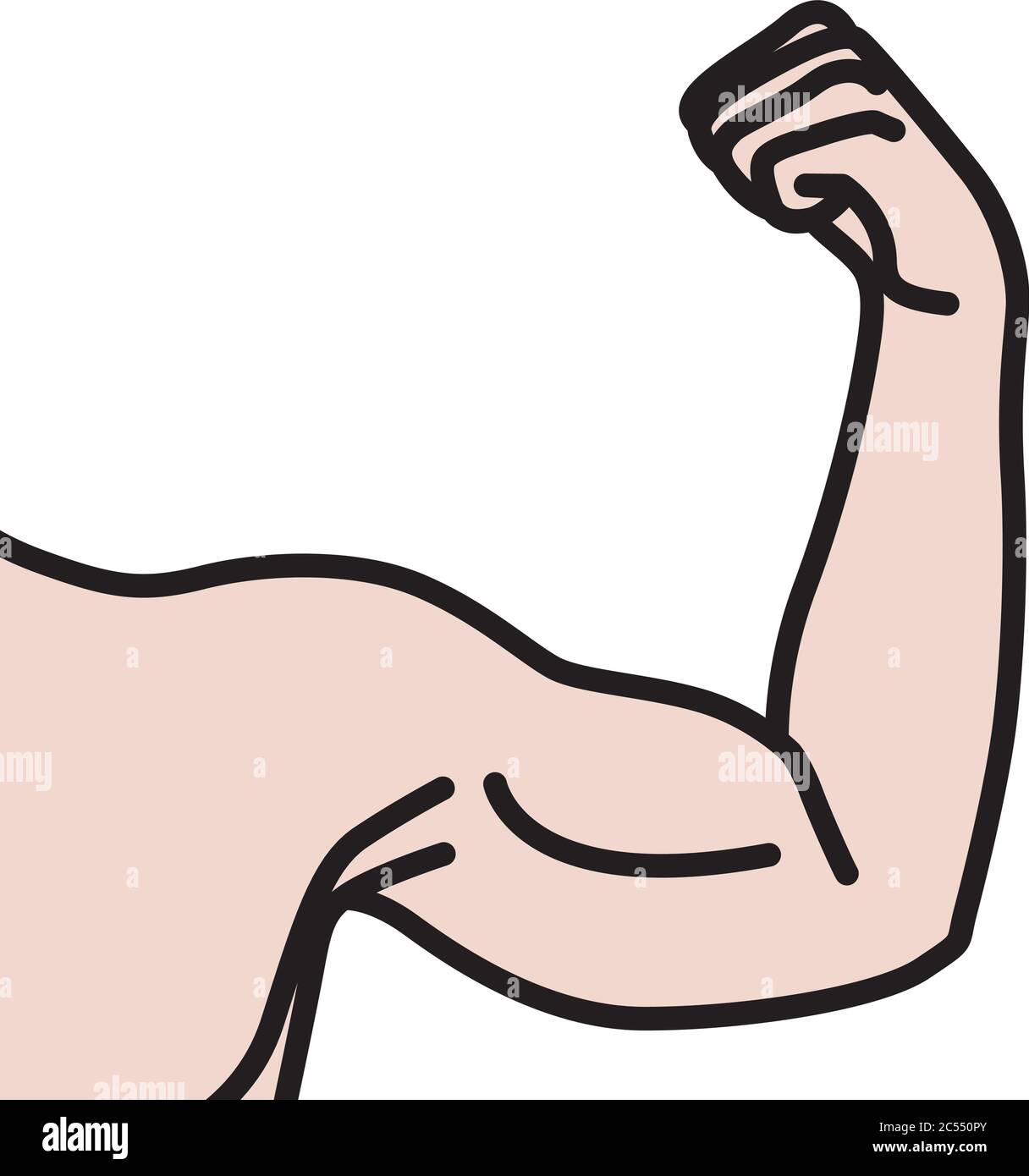 Bras mâles avec muscles biceps fléchis Illustration de Vecteur