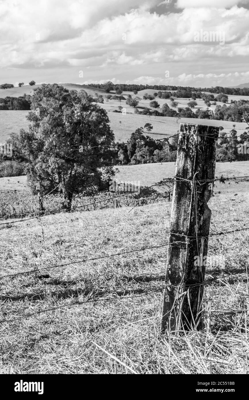 Queensland paysage rural en saison sèche Banque D'Images