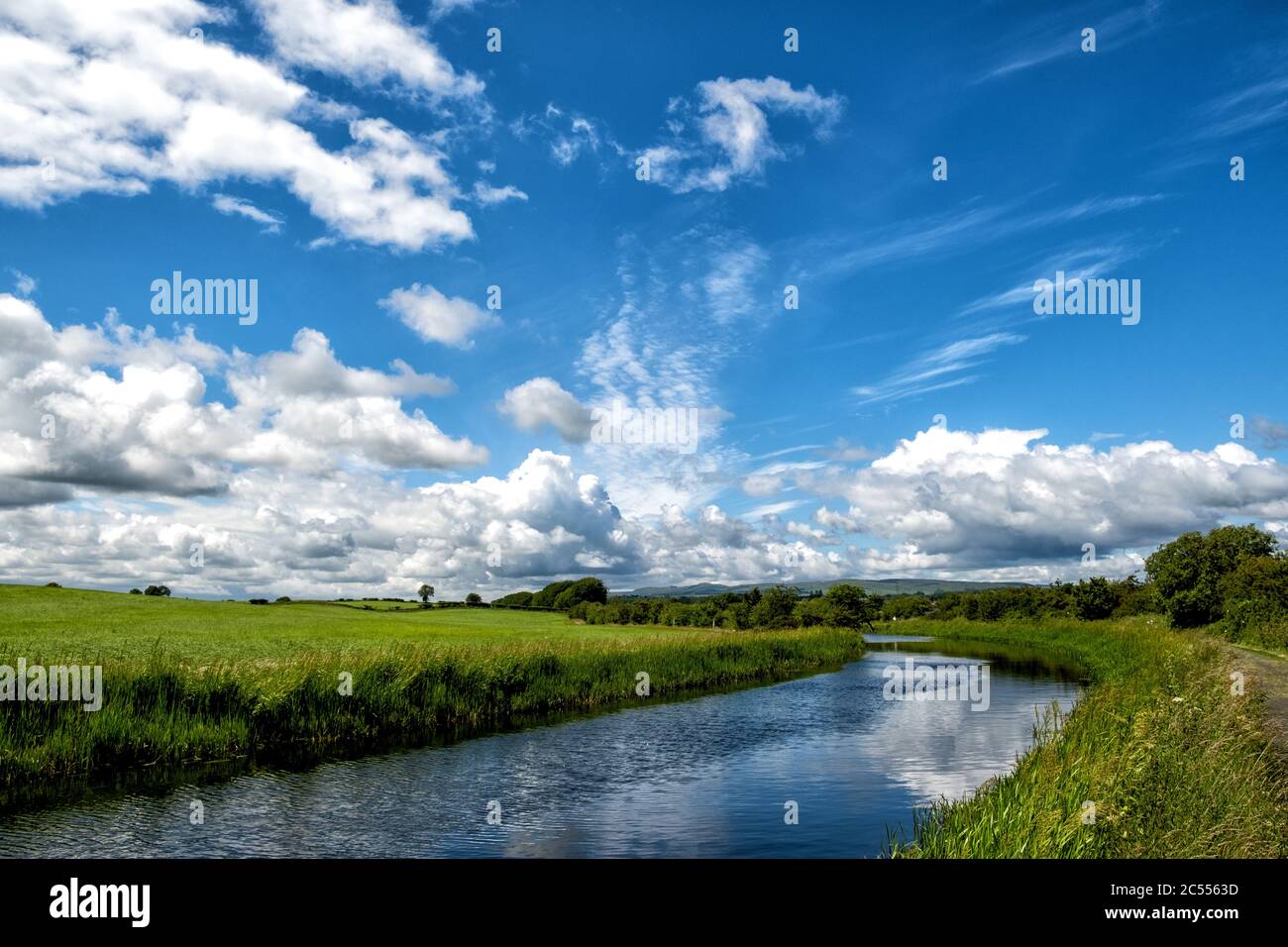 Le canal Forth & Clyde. Bonnybridge, Falkirk, Écosse, Royaume-Uni Banque D'Images