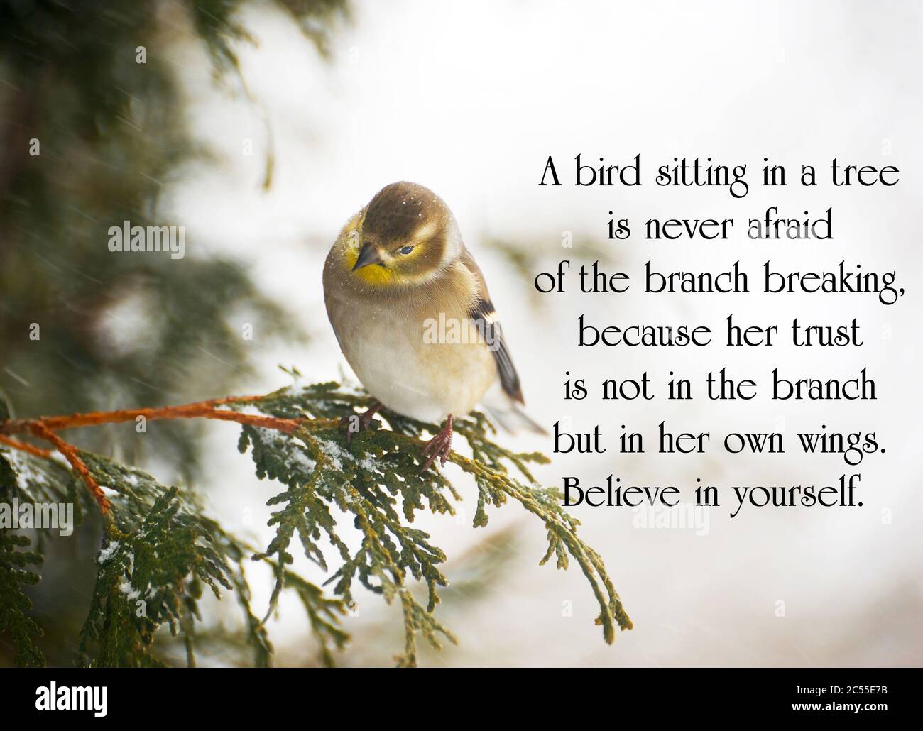 Citation Inspirante Avec Des Mots A Vivre Photo Stock Alamy Citation Inspirante Avec Des Mots A Vivre Photo Stock Alamy