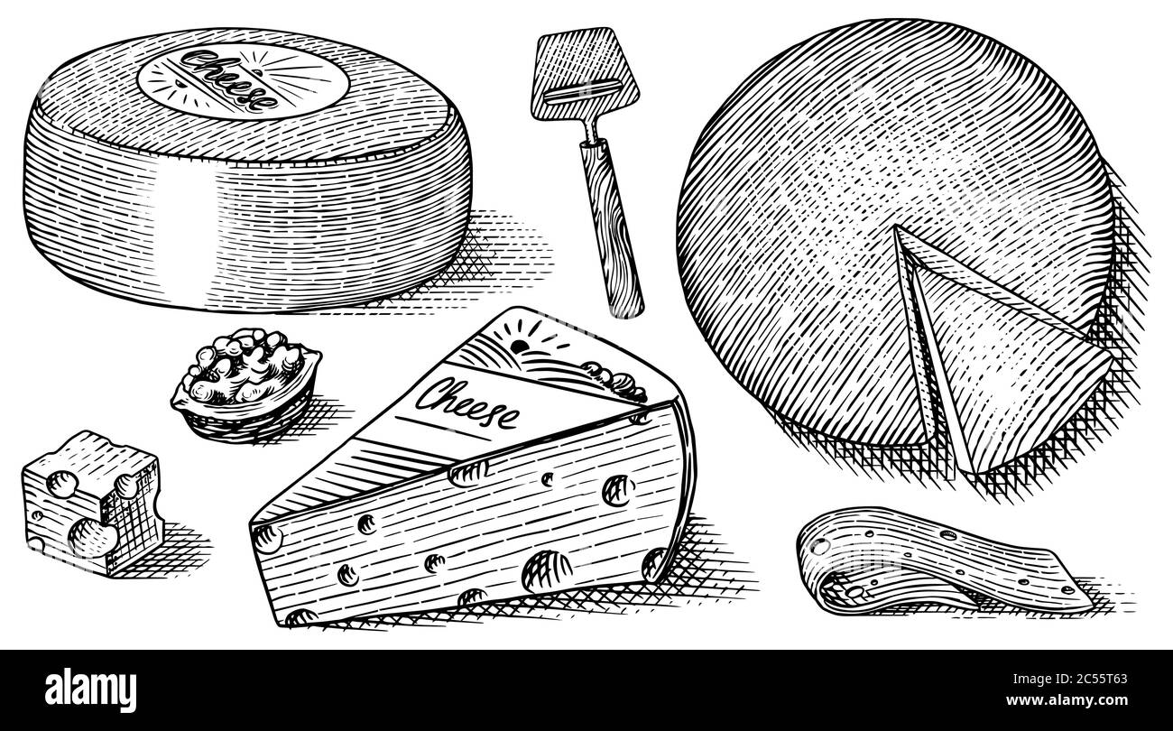 Ensemble de fromages. Tranches de Mascarpone Bleu de Gex Edam Camembert Mozzarella pour le marché ou l'épicerie. Cheesboard et lait frais bio. Vecteur Illustration de Vecteur