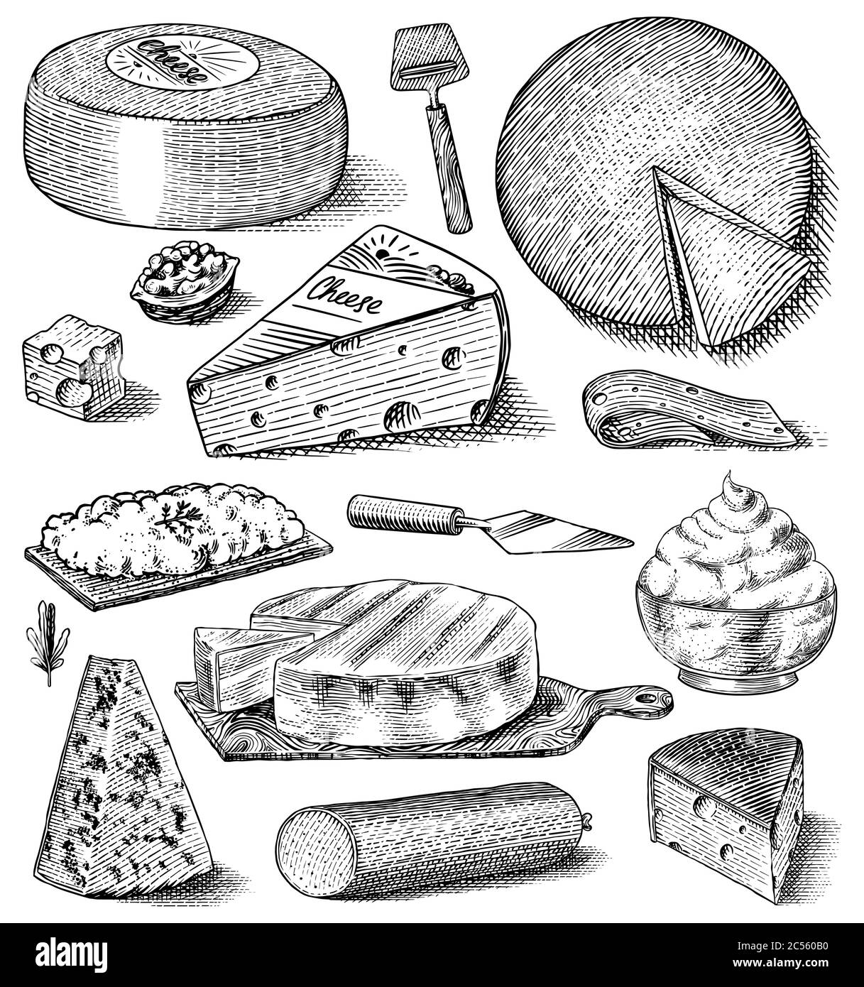 Ensemble de fromages. Tranches de Mascarpone Bleu de Gex Edam Camembert Mozzarella pour le marché ou l'épicerie. Cheesboard et lait frais bio. Vecteur Illustration de Vecteur