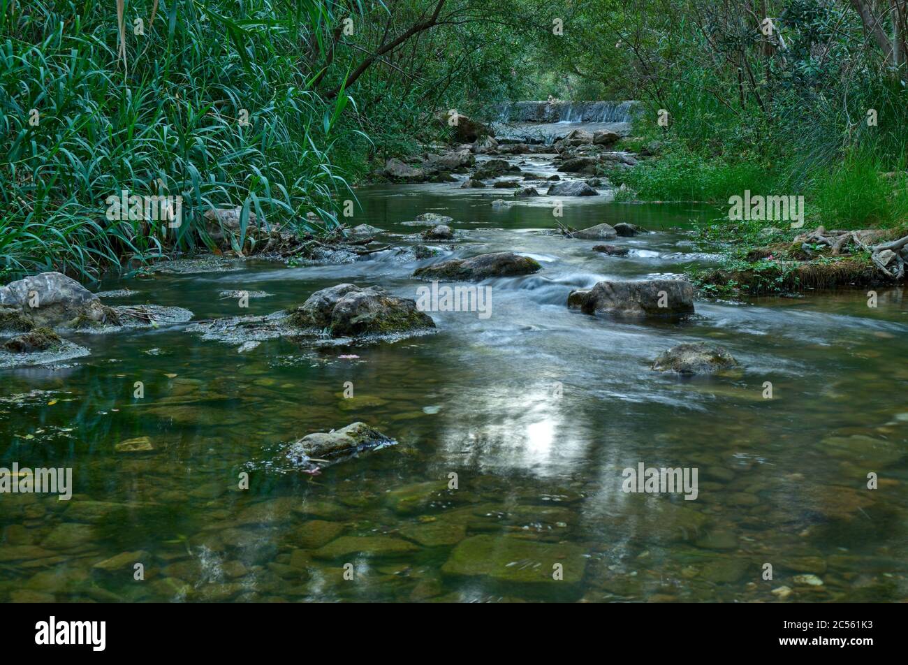Scène de la rivière fonte da Benemola à Querenca. Loule, Algarve, Portugal  Photo Stock - Alamy