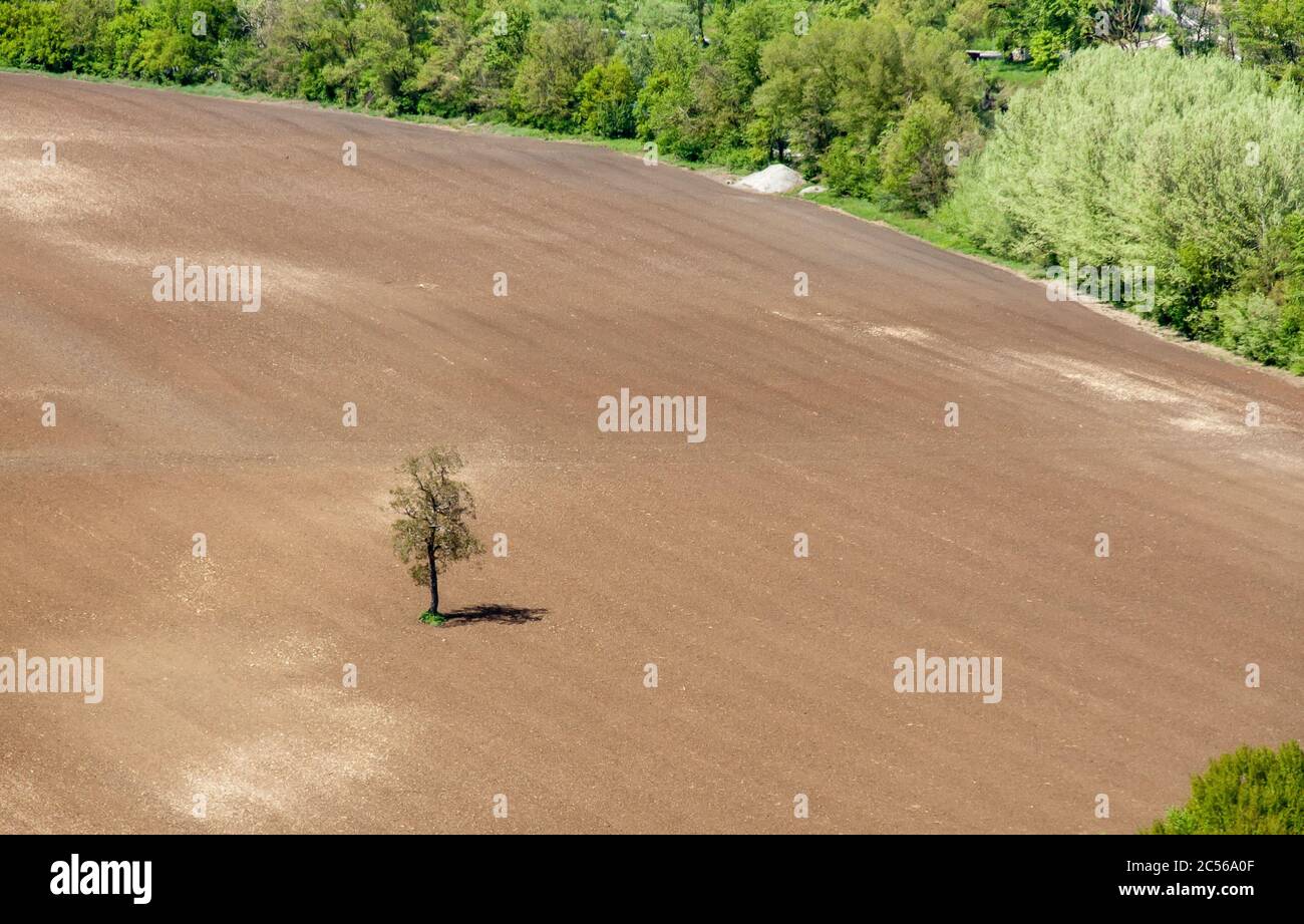 Sisteron, Alpes-Maritime de haute Provence, France, vue sur les terres agricoles Banque D'Images