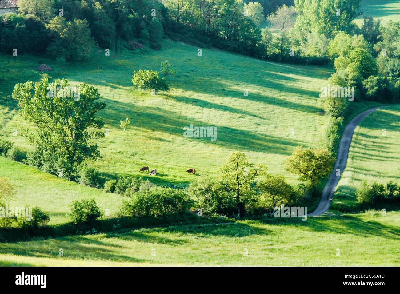 Castelnau de Montmiral, Tarn, France Mai 2010 terres agricoles entourant le village vu d'en haut. Banque D'Images