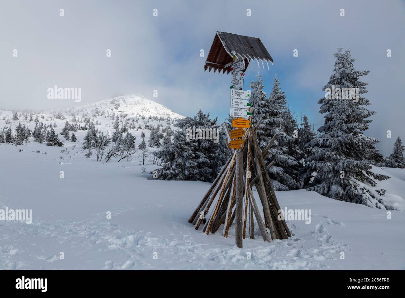 Europe, Pologne, Basse Silésie, montagnes géantes, Szrenica / Reifträger Banque D'Images