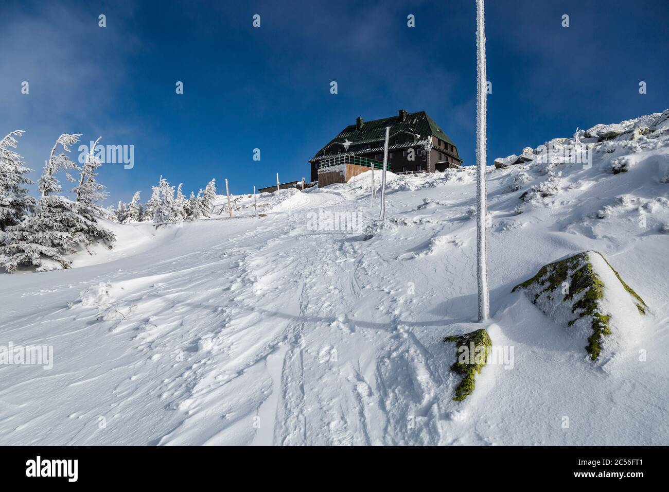 Europe, Pologne, Basse Silésie, montagnes géantes, Szrenica / Reifträger Banque D'Images