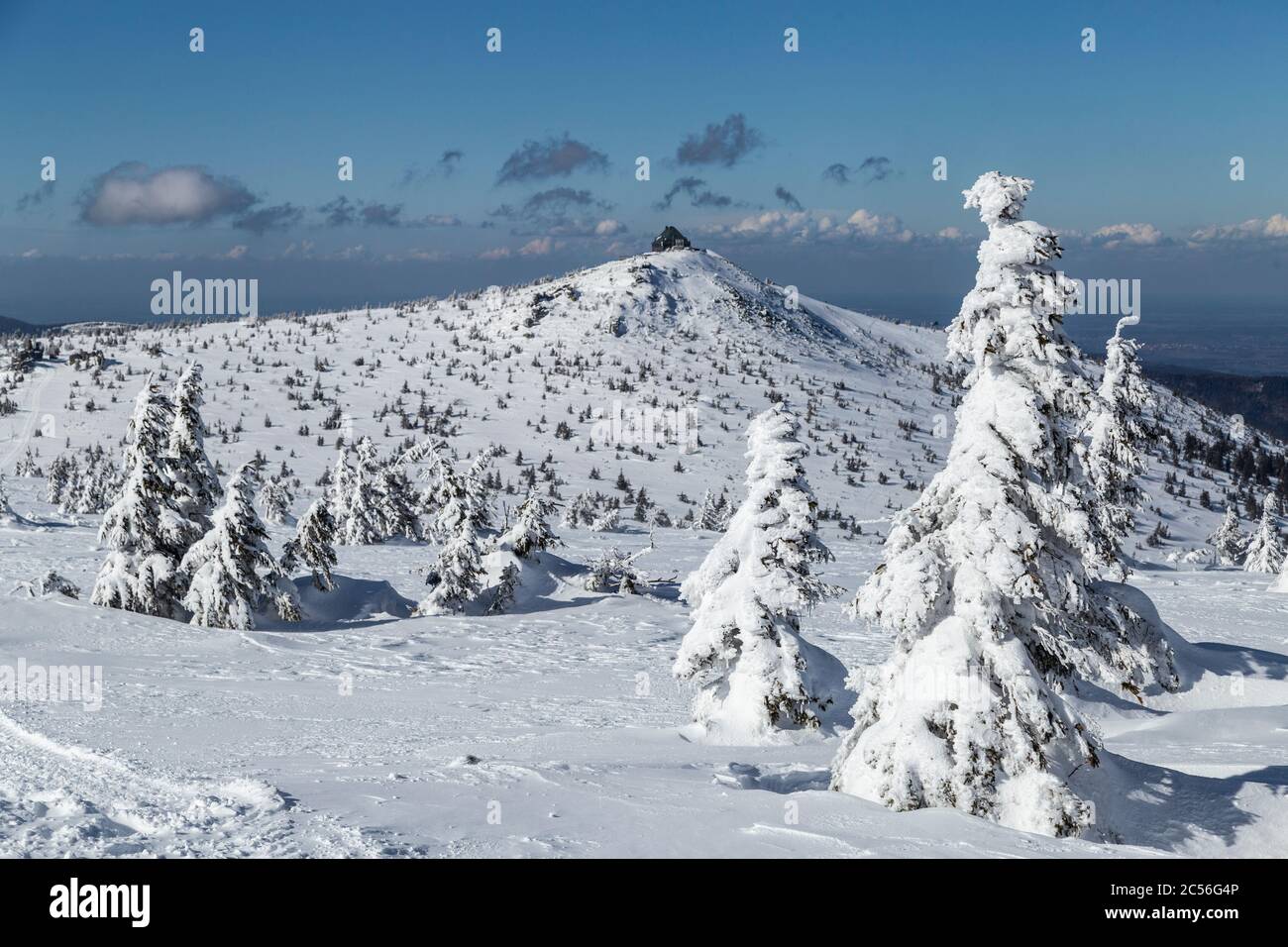 Europe, Pologne, Basse Silésie, montagnes géantes, Szrenica / Reifträger Banque D'Images