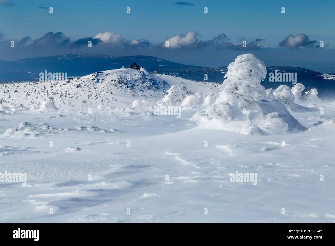 Europe, Pologne, Basse Silésie, montagnes géantes, Szrenica / Reifträger Banque D'Images