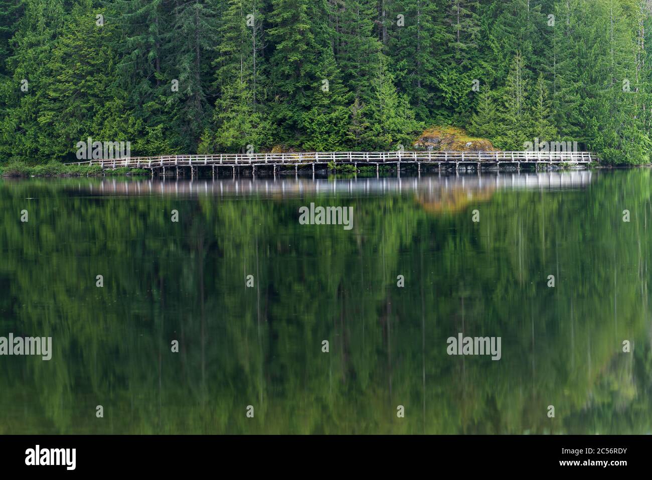 Inland Lake Bike Trail Boardwalk qui se déplace autour du lac intérieur à Powell River Colombie-Britannique, Canada. Banque D'Images