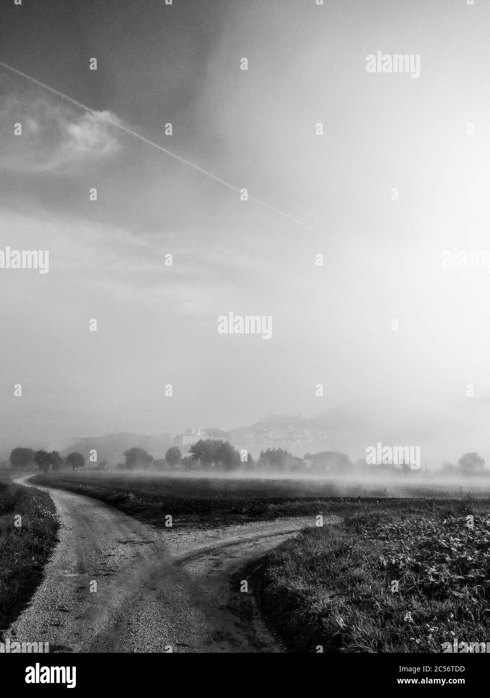 Vue sur l'église d'Assise et de Saint François (Ombrie, Italie) au milieu du brouillard avec des passages à niveau au milieu du champ cultivé Banque D'Images