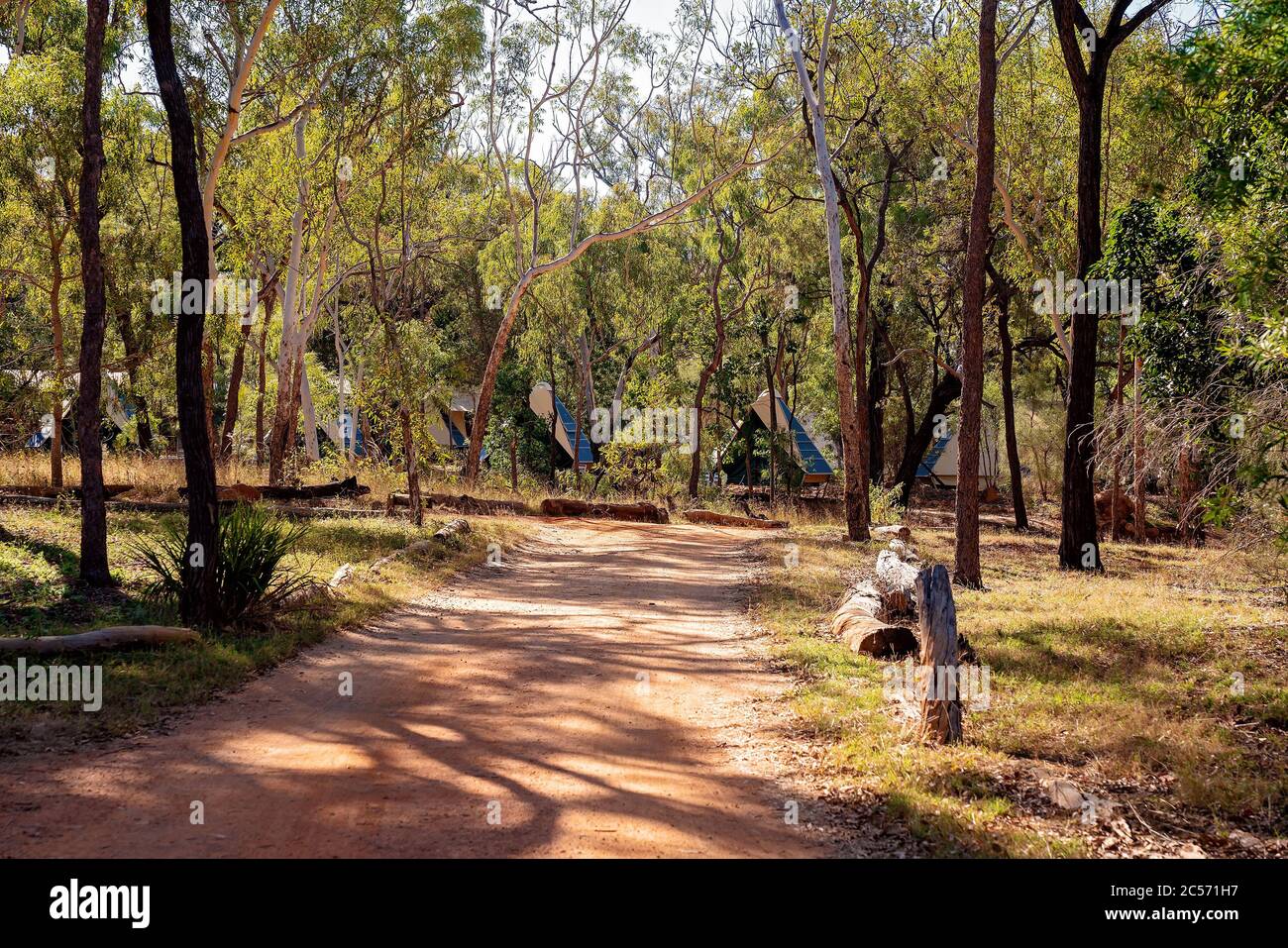 Une route de terre à travers un parc touristique australien de brousse avec des tentes permanentes disponibles pour les clients. Parc national volcanique. Banque D'Images