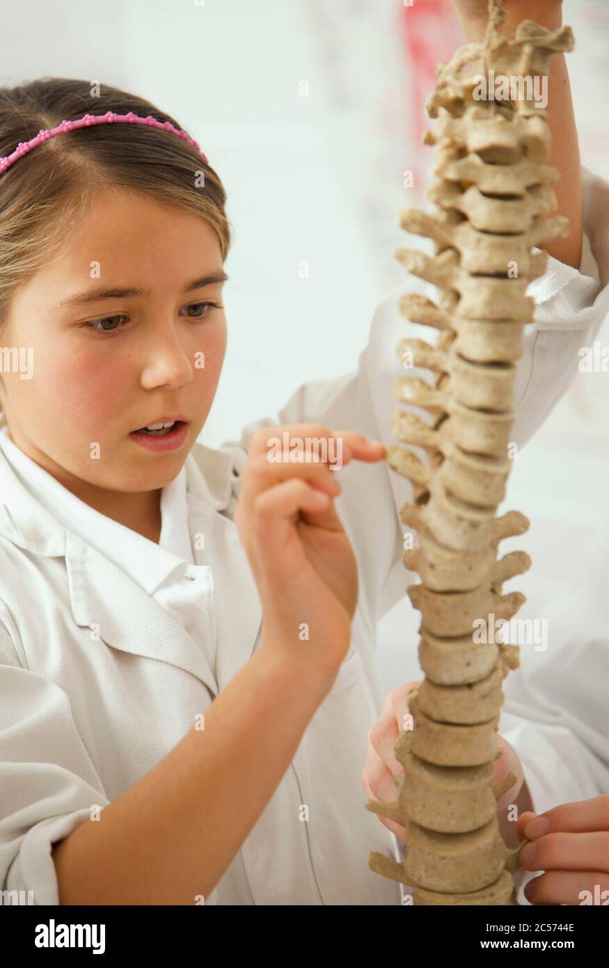 Curieuse jeune fille d'école secondaire examinant le modèle de colonne vertébrale en classe de sciences Banque D'Images