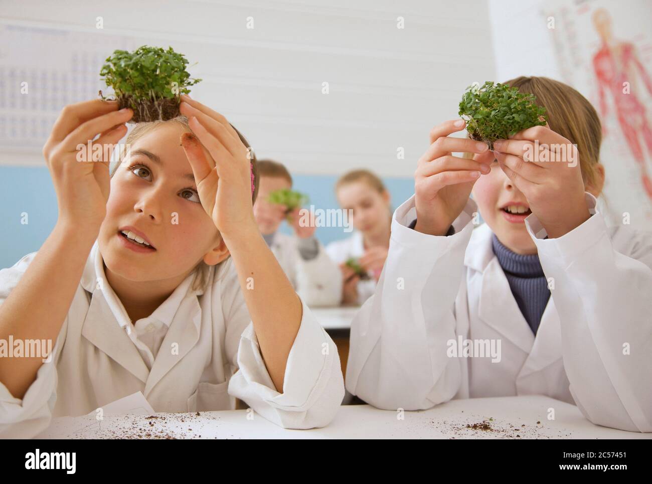 Curieux élèves du secondaire étudiant des plantes en laboratoire scientifique Banque D'Images