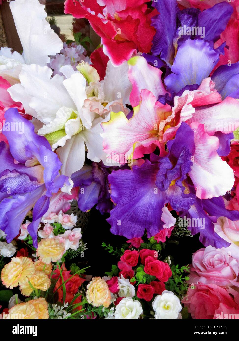 Iris multicolore et roses vibrants Banque D'Images