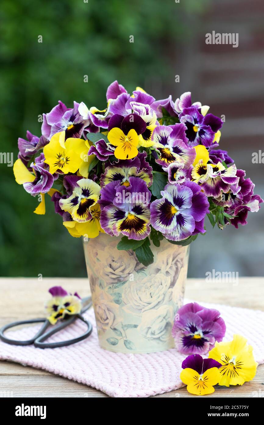 bouquet de fleurs de alto en jaune et rose dans un vase vintage Banque D'Images