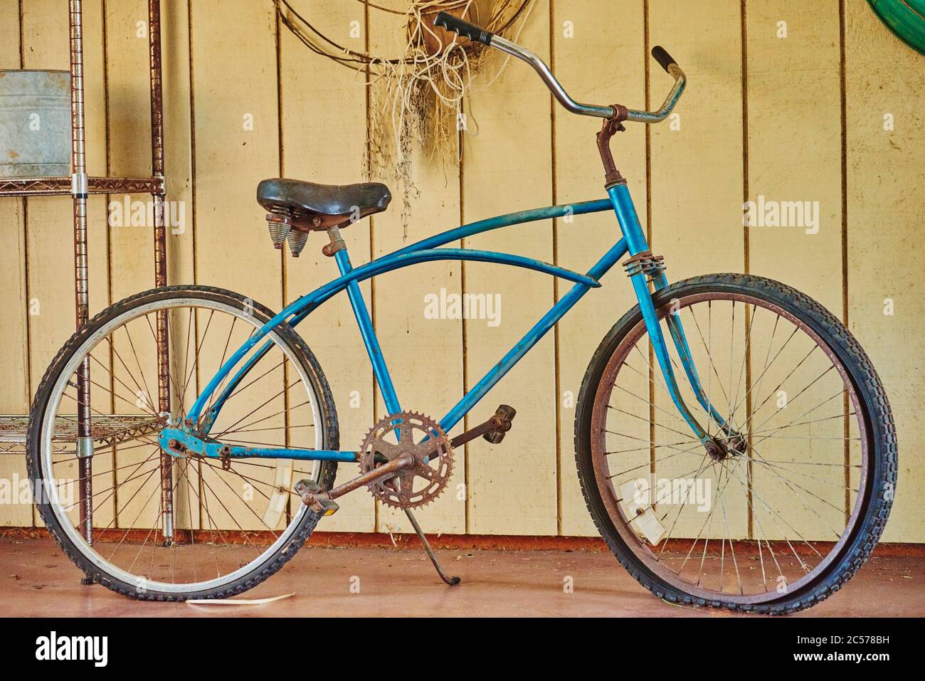 Vieux vélo comme décoration dans un parc, île d'Oahu, Oahu, Hawaii, Aloha State, Etats-Unis Banque D'Images