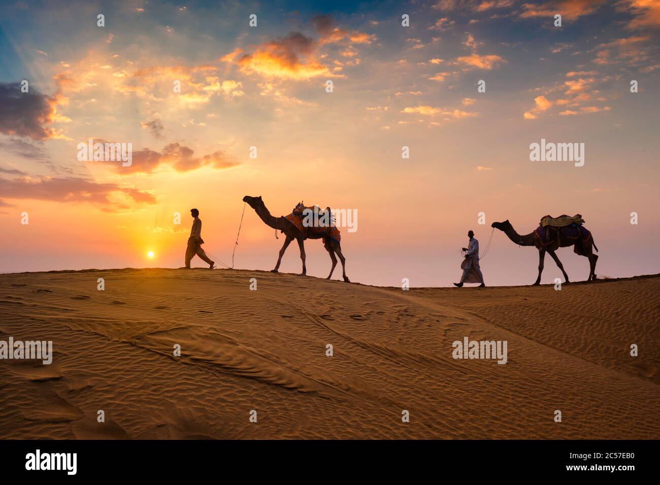 Caméléers indiens chauffeur de chameau avec silhouettes de chameau dans les dunes au coucher du soleil. Jaisalmer, Rajasthan, Inde Banque D'Images
