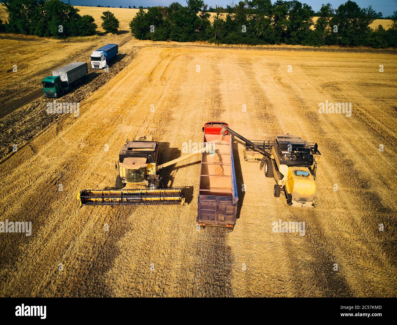 Vue aérienne de drone. Surcharge du grain des moissonneuses-batteuses dans le camion à grains dans le champ. Déloder la récolteuse en versant le blé récolté dans un corps de boîte Banque D'Images