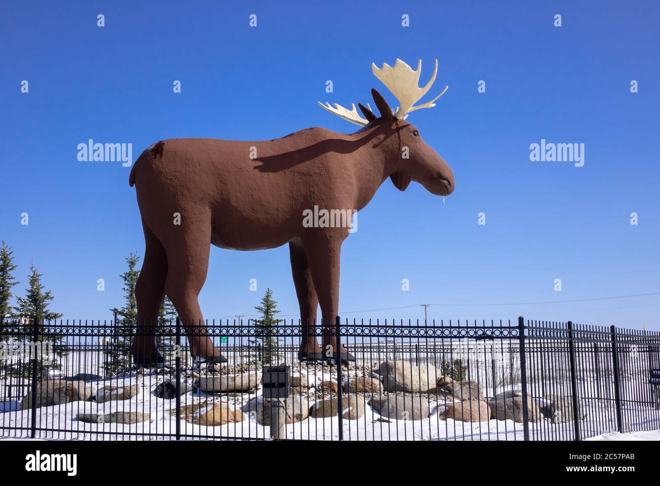Mac la statue de Moose attraction routière à Moose Jaw Saskatchewan autrefois la plus haute statue de Moose au monde Banque D'Images