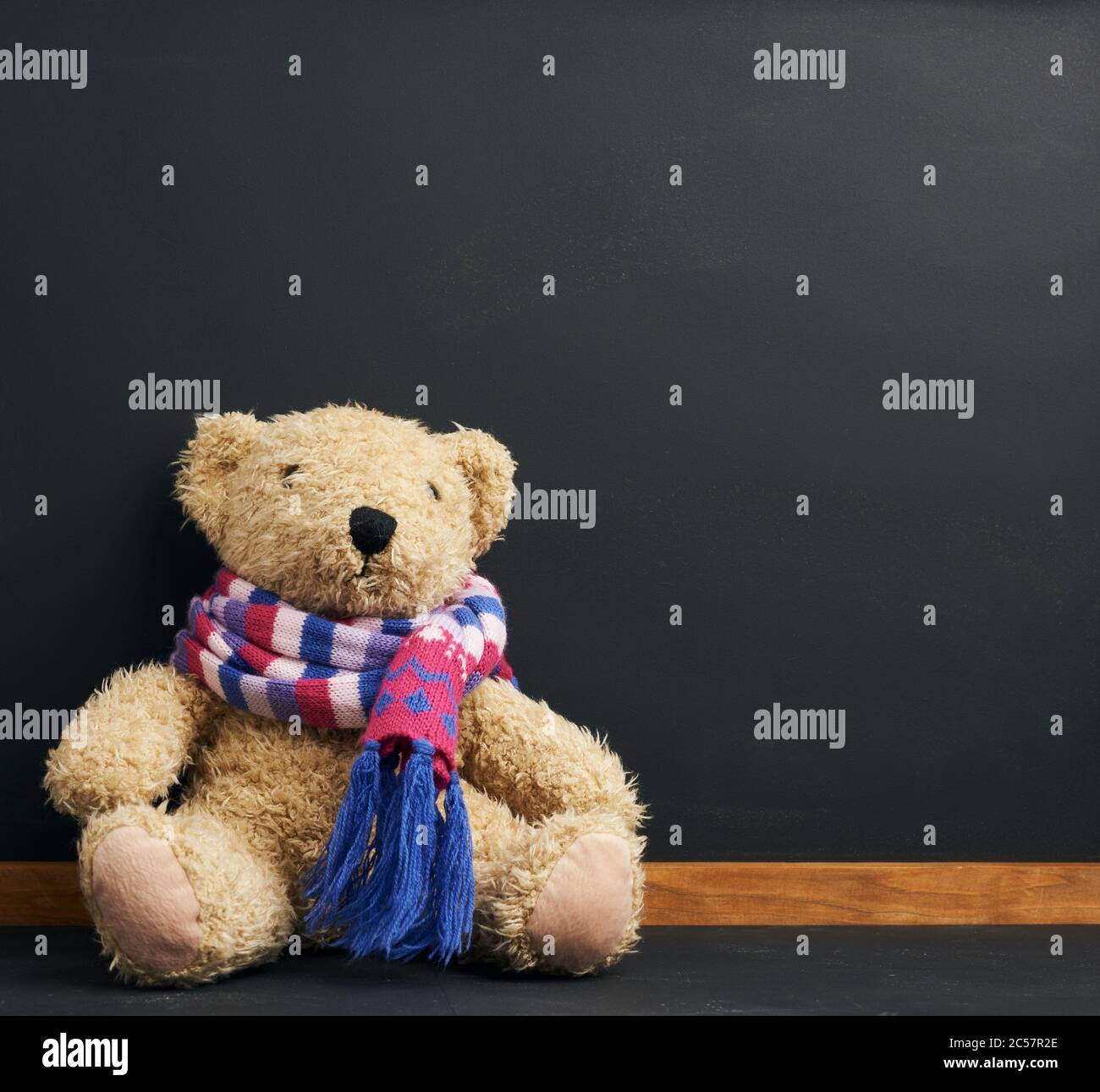 ours en peluche marron dans un foulard tricoté assis sur un fond de tableau noir de craie, concept de retour à l'école, espace de copie Banque D'Images