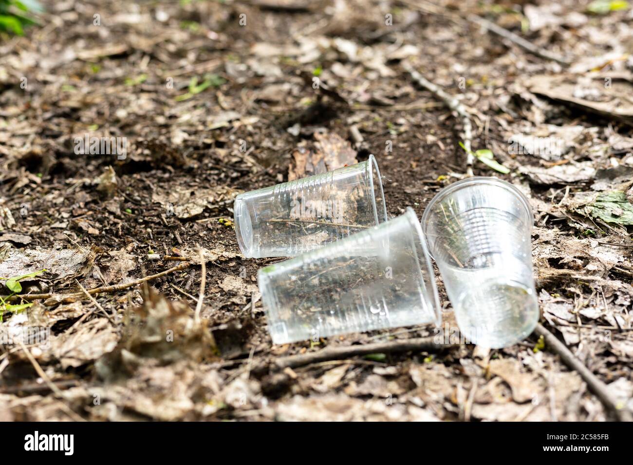 Tasses en plastique dispersées sur le sol dans la forêt Banque D'Images