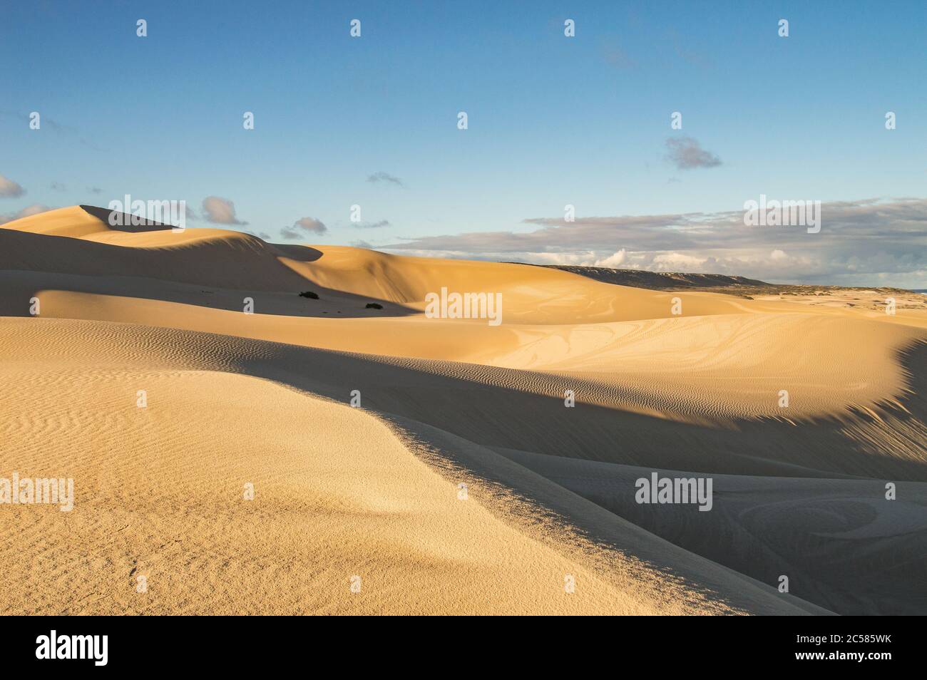Parc national des plaines de Nullarbor dunes de sable sur la plage Banque D'Images