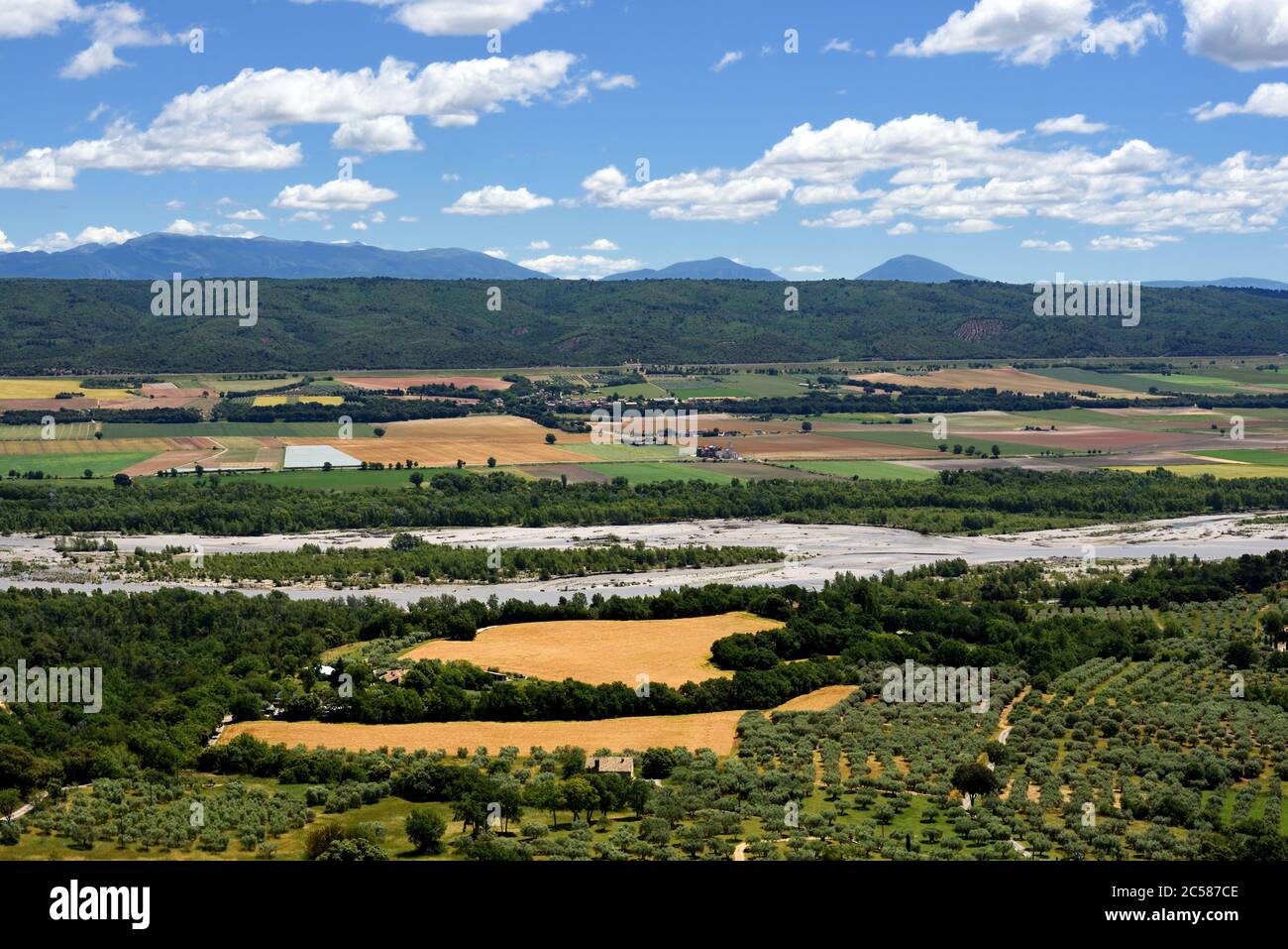 Champs de fleurs, champs de blé et oliviers dans la vallée de la Durance, depuis le village perché de Lurs Alpes-de-haute-Provence Provence Provence Provence France Banque D'Images