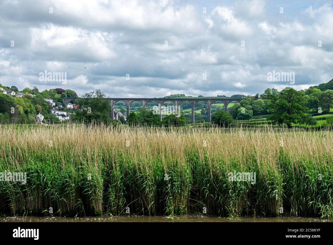 Viaduc de Calstock Banque D'Images