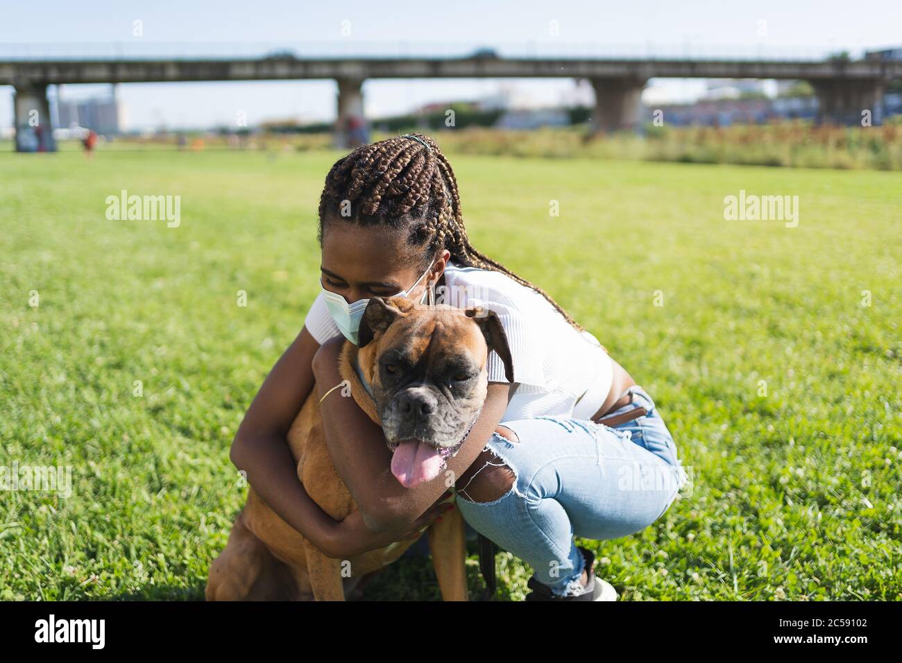 Femme africaine avec des tresses et un masque de protection se pliant sur l'herbe embrassant un chien boxeur dans un jour ensoleillé et avec un pont sur l'arrière-plan Banque D'Images