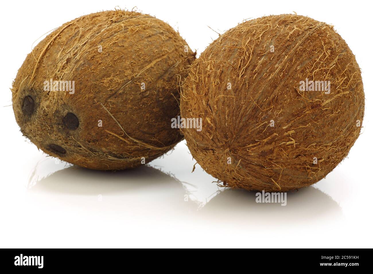 deux noix de coco fraîches sur fond blanc Banque D'Images