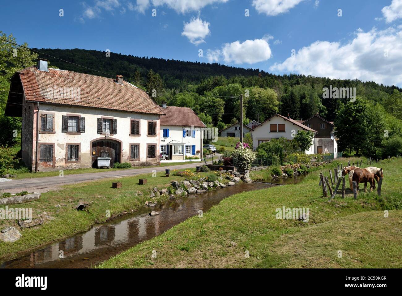 France, haute Saône, Fresse, village, maisons, ruisseau Raddon, chevaux Comtois Banque D'Images