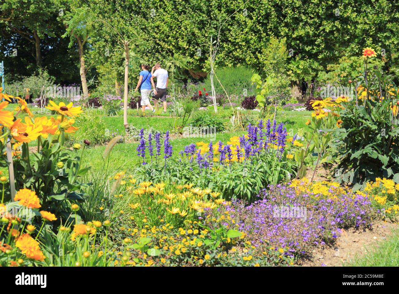 France, Paris, jardin des plantes fondé au XVIIe siècle Banque D'Images