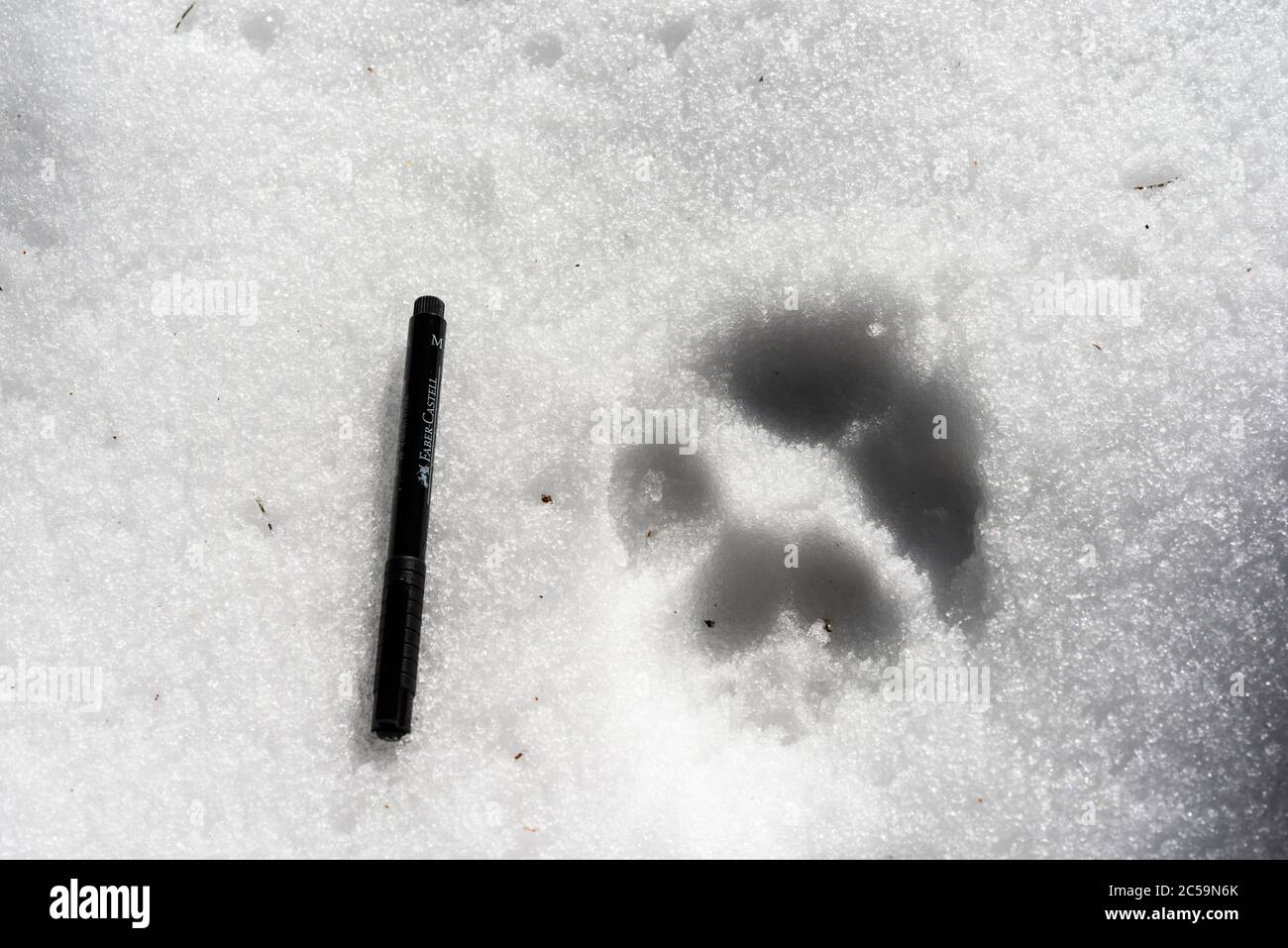 France, Drôme, Parc naturel régional du Vercors, Saint Agnan en Vercors, sentier des loups Banque D'Images