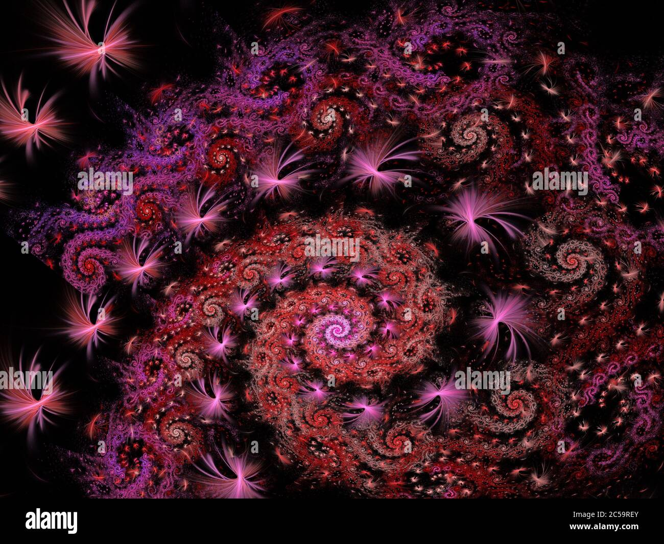 Plumes roses incorporées dans le design fractal de flamme spiralée Banque D'Images