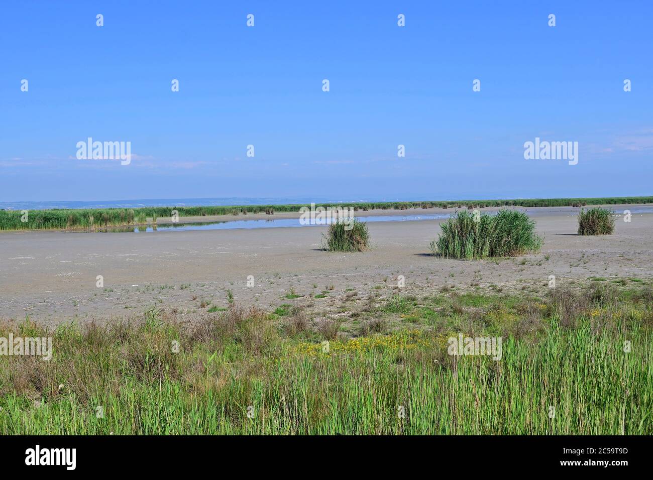 Illmitz, Burgenland, Autriche. Patrimoine mondial de l'UNESCO, paysage culturel Neusiedler See (lac Neusiedl). Banque D'Images