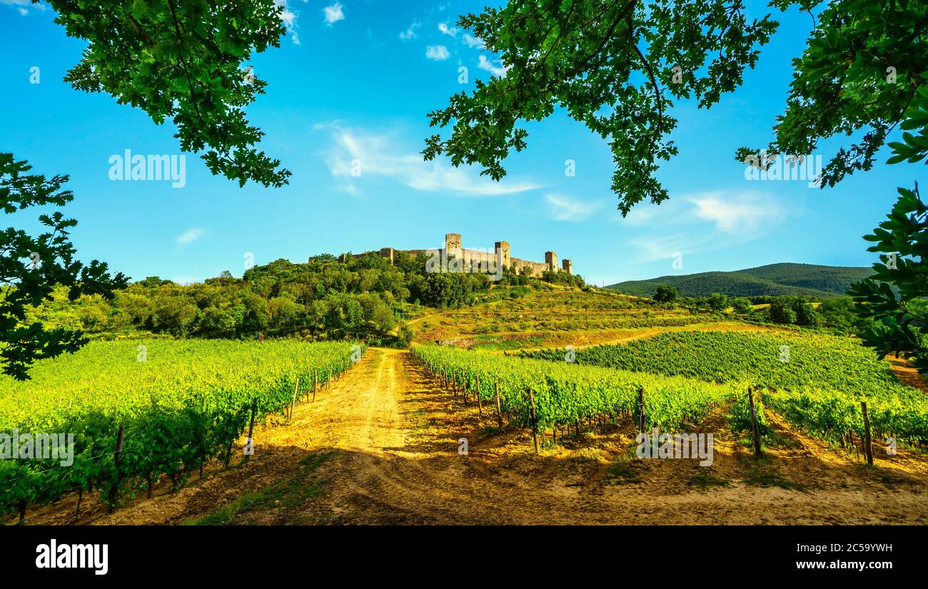Village médiéval fortifié Monteriggioni et vignobles, route de la via francigena, Sienne, Toscane. Italie Europe. Banque D'Images