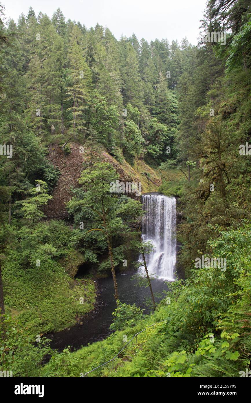 Lower South Falls au parc national de Silver Falls, Oregon, États-Unis. Banque D'Images