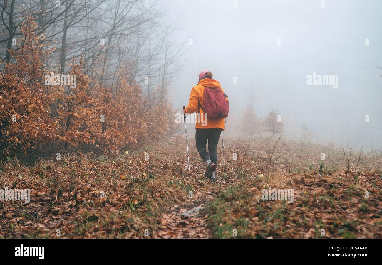 Vêtu d'une veste orange vif jeune femme routard marchant sur le chemin touristique en utilisant des bâtons de randonnée dans la forêt brumeuse d'automne. Des personnes actives et des autres Banque D'Images