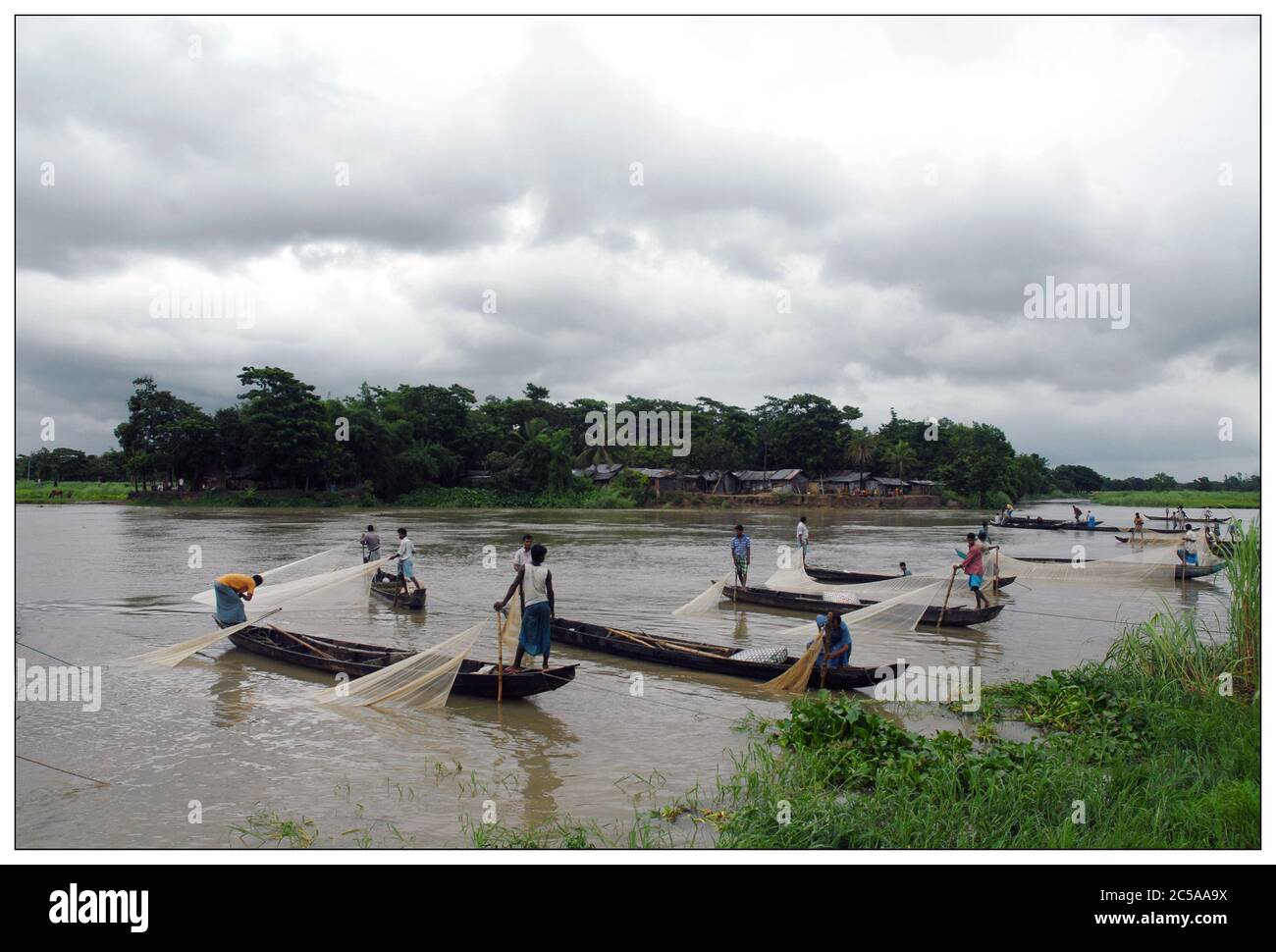 Pêcheurs qui collectent des œufs de poissons d'eau salée provenant de la rivière Haldaa, Hathazari, Chittagong. Haldaa est bien connu dans la communauté de pêche comme poissons de bo Banque D'Images