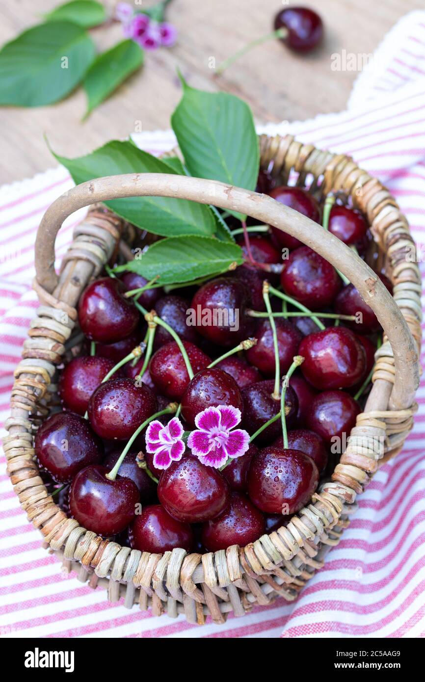 cerises douces fraîches dans le panier Banque D'Images