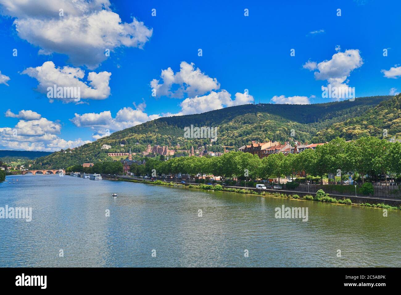 La rivière Heidelberg neckar avec ses anciens bâtiments historiques et la chaîne de montagnes Odenwald avec son célèbre château en Allemagne en été Banque D'Images