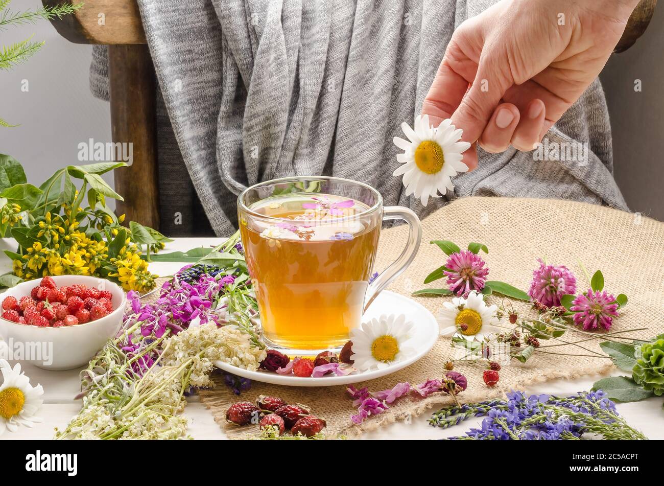 Une femme prépare du thé aux herbes avec de la camomille. Cérémonie du thé. Thé avec rose sauvage et trèfle Banque D'Images