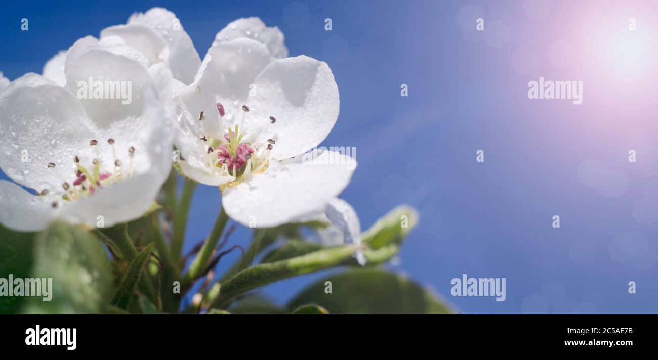 Birthday Ca Banque De Photographies Et D Images A Haute Resolution Alamy