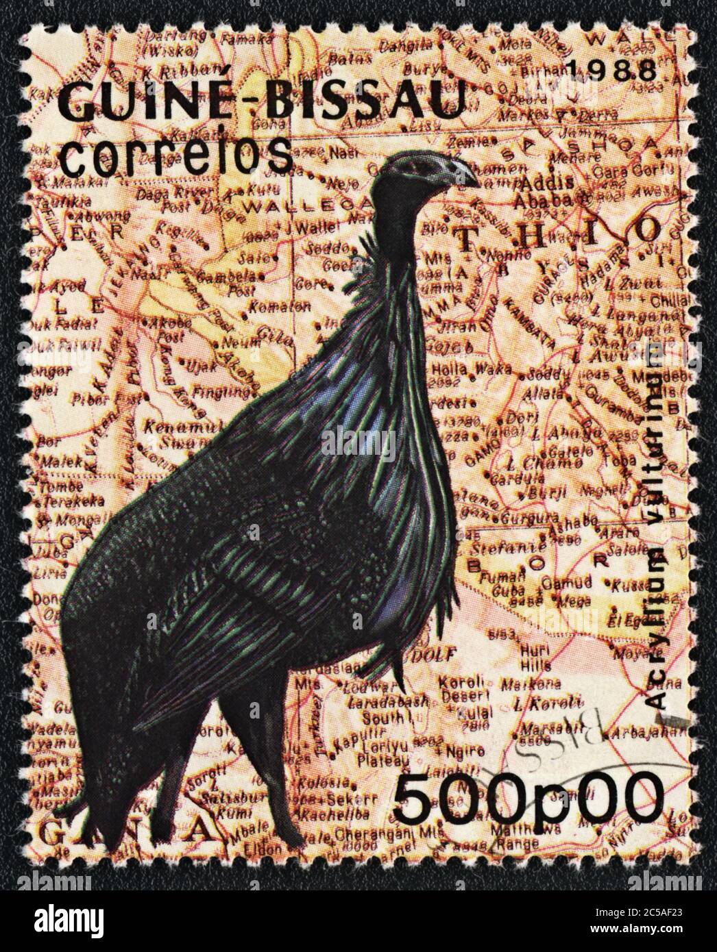Timbre-poste. Vulturine guineafhid (acrylium vulturinum) et la carte de l'Afrique du Nord-est, Guinée-Bissau , 1988 Banque D'Images
